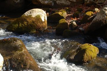 Mossy rocks in Little Stony Creek, Cascades Hike, Giles Co, VA by Andrea Badgley on Butterfly Mind