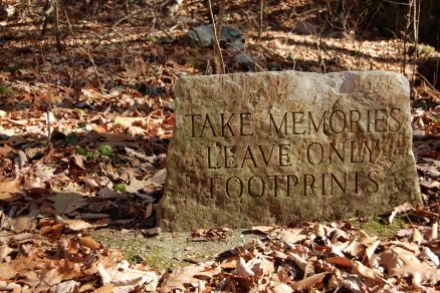 Stone Sign tinted green, Cascades Hike, Giles Co, VA by Andrea Badgley on Butterfly Mind