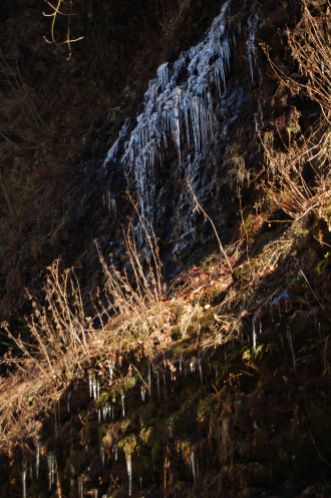 Icicles, Cascades Hike, Giles Co, VA by Andrea Badgley on Butterfly Mind
