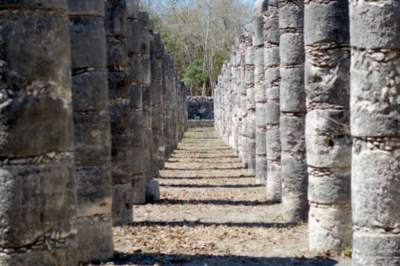 Aisle of columns